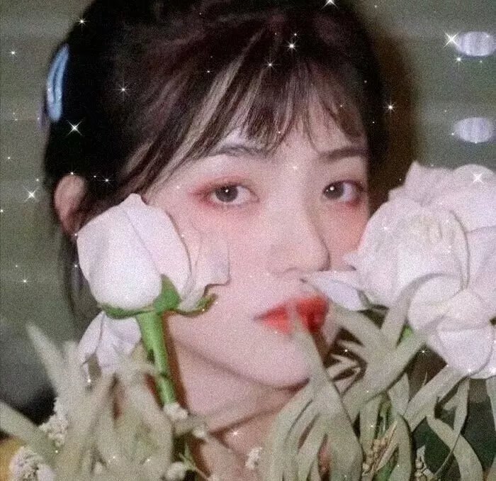 凯茜回家